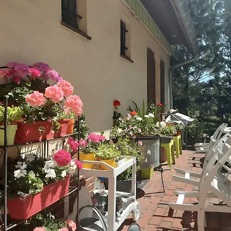 Le Manoir Du Tertre 3* Le Moulinel