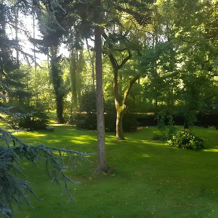 Le Manoir Du Tertre Le Moulinel