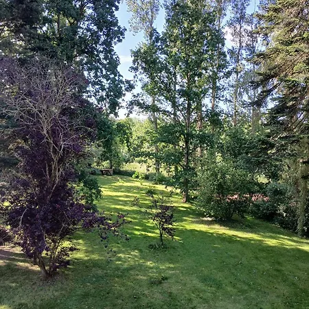 Le Manoir Du Tertre فندق مبيت وإفطار Le Moulinel